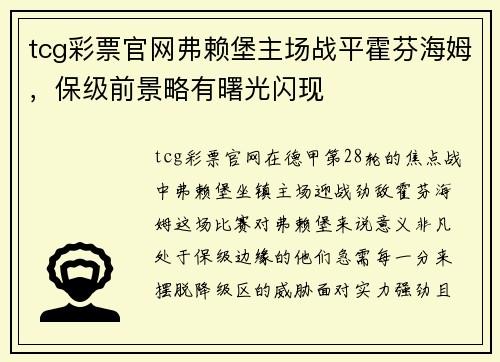 tcg彩票官网弗赖堡主场战平霍芬海姆，保级前景略有曙光闪现